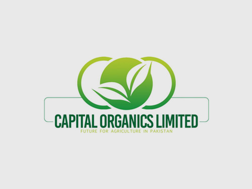 company Image 1